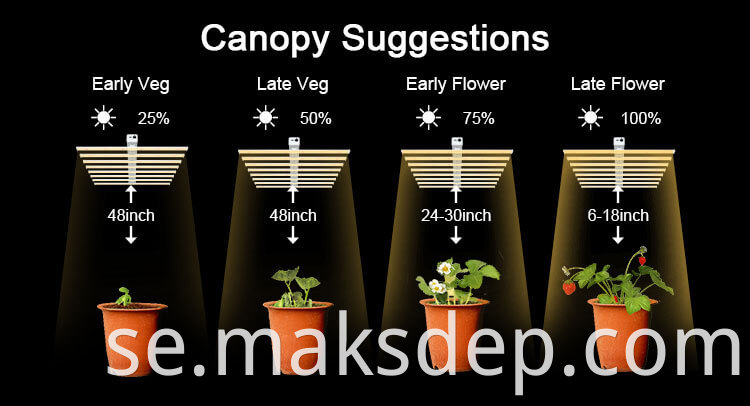 Daisy Chain Led Grow Light